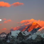 From Orchard to Table: The Journey of Organic Himalayan Fruits