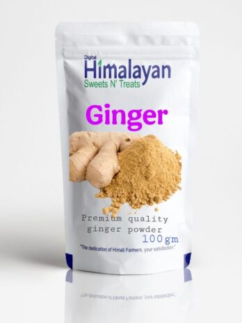Premium Quality Ginger Powder